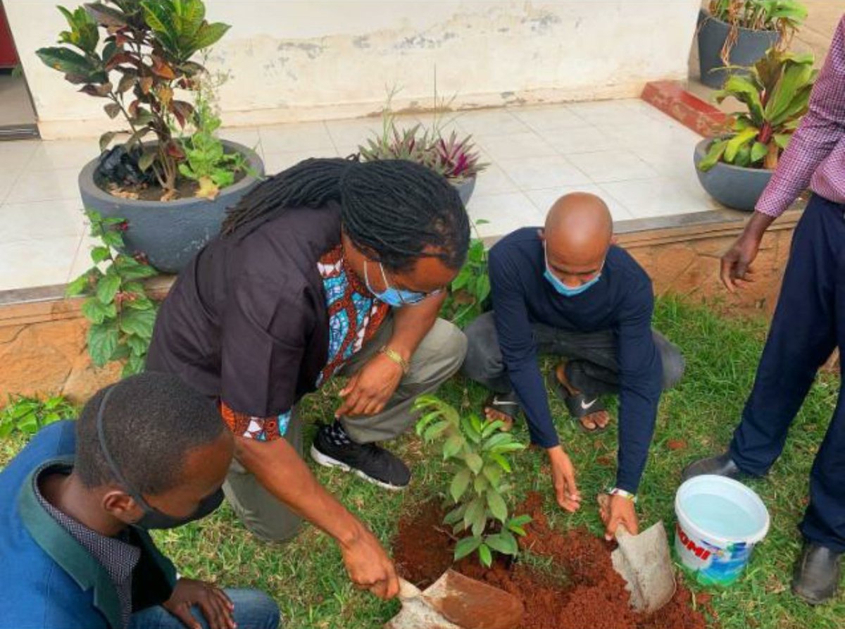 mytreeUganda's tweet photo. We are thankful to the most renowned and Awarded East African Rapper of all time @naviomusic for the amazing urban tree growing of his #SourSope π tree to this healthy stage.
It's less than a year old since we planted it. Now about 2 feet high and very promising to fruit π³π±. https://t.co/vgrzQ6E5nx