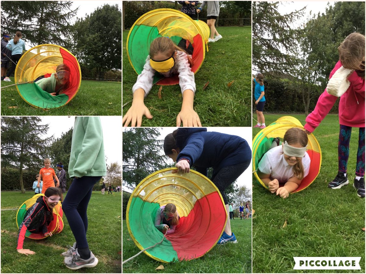 William Shrewsbury tweet media