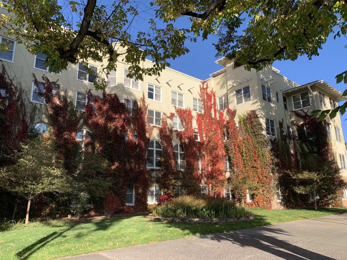 UCCS Social Work tweet media