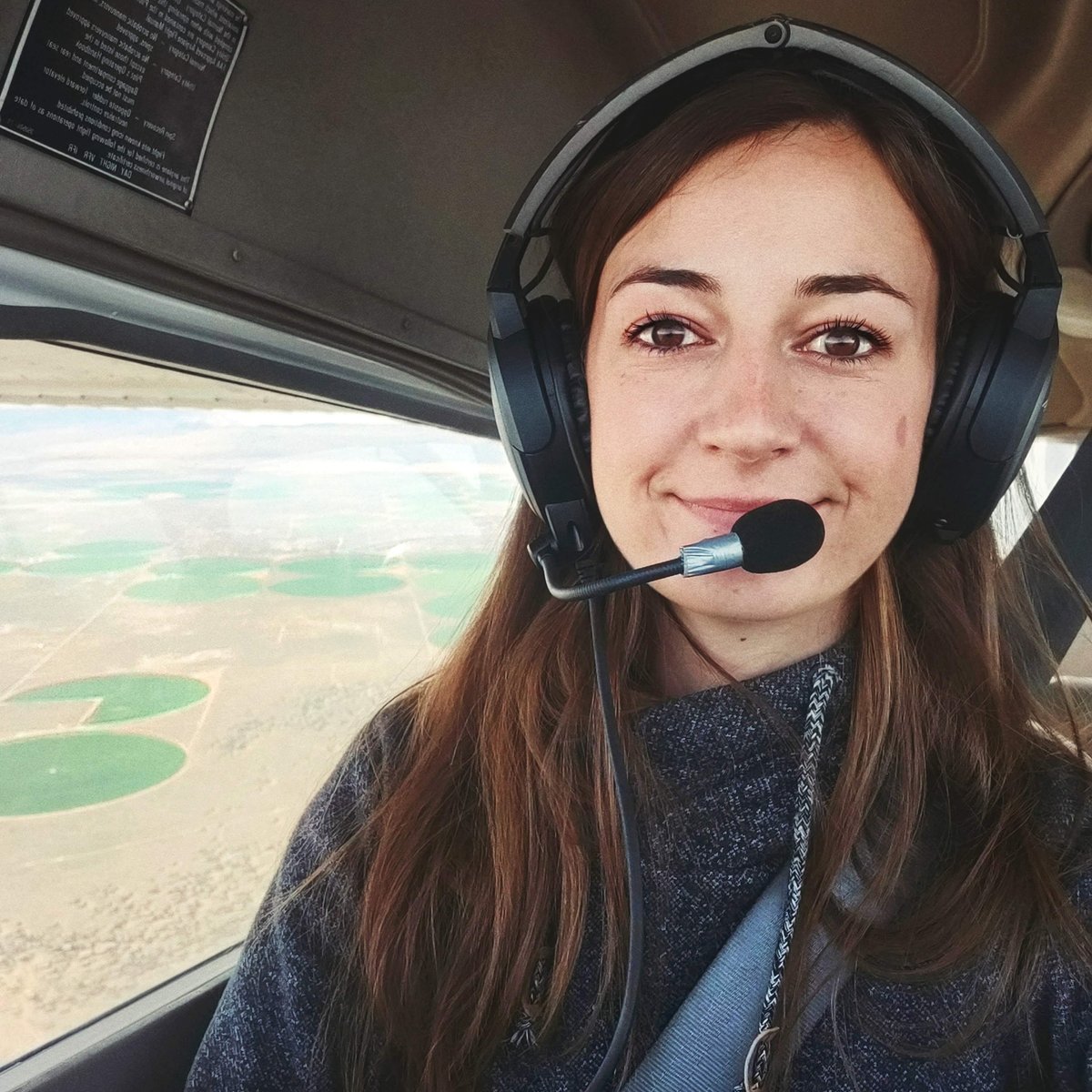 Faceout Studio tweet media