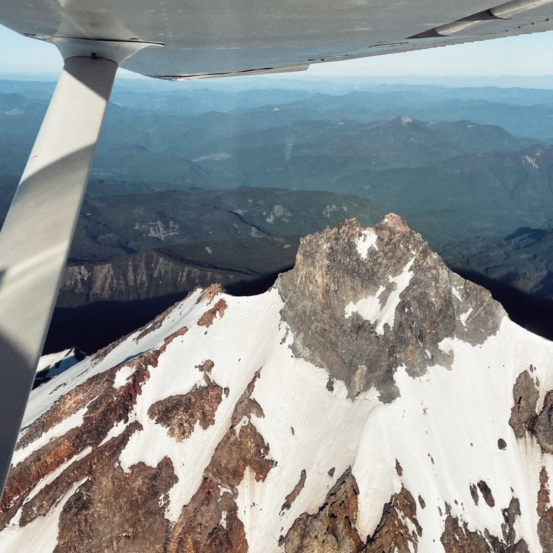 Faceout Studio tweet media