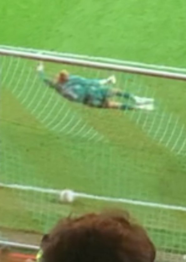 KarenFaz's tweet photo. Just how is this not a goal for @Harrypell_7 folks?! 🤔 #asfc https://t.co/CWxJKOe5jp