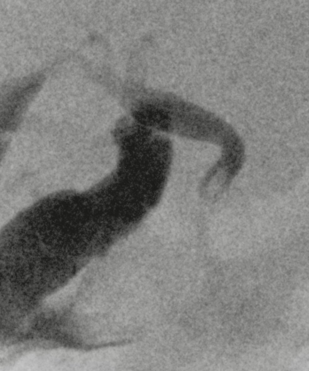 Ravi Srinivasa tweet media