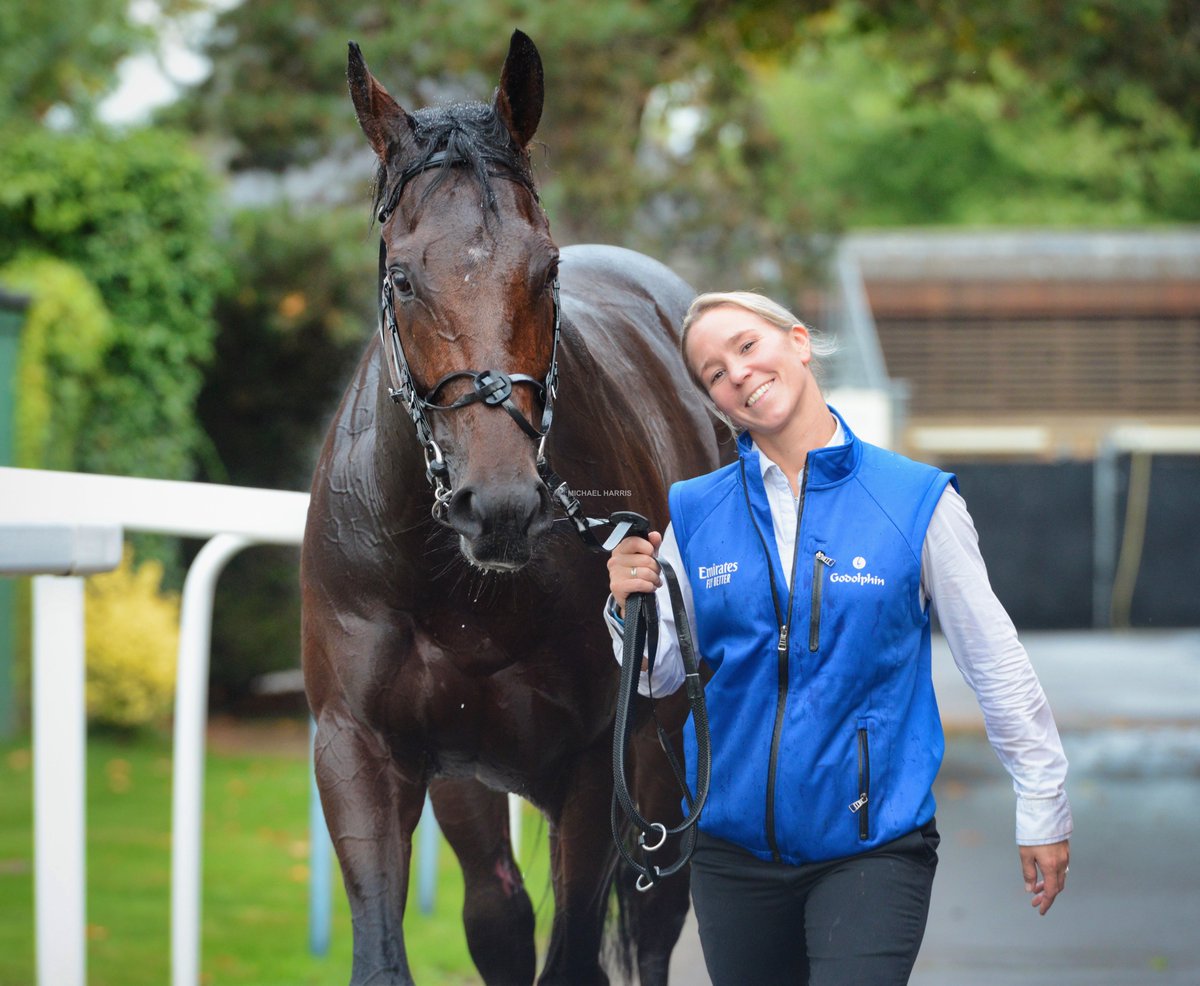 A very tired looking ADAYAR after the Champion Stakes. He is lucky to be looked after by Jenna who is another fine example in #racingstaffweek of someone who addresses their disappointment with positivity and a smile. Great credit to her.