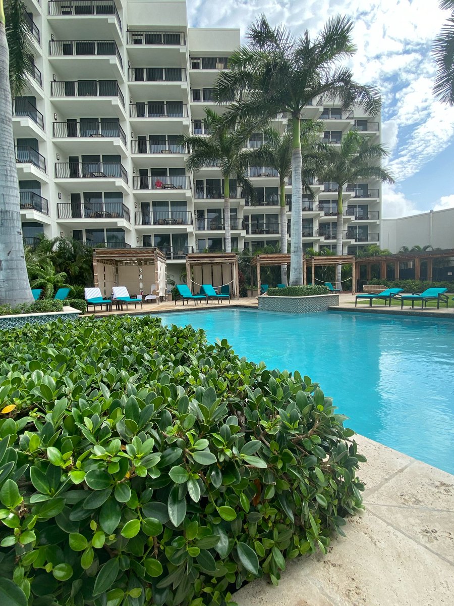 arubamarriott's tweet photo. Sweet serenity, just what you need! π #arubamarriott
.
.
#aruba #daretoliveyourdream #adultpool #traveltuesday #relaxandretreat https://t.co/fLsXsbOXbA