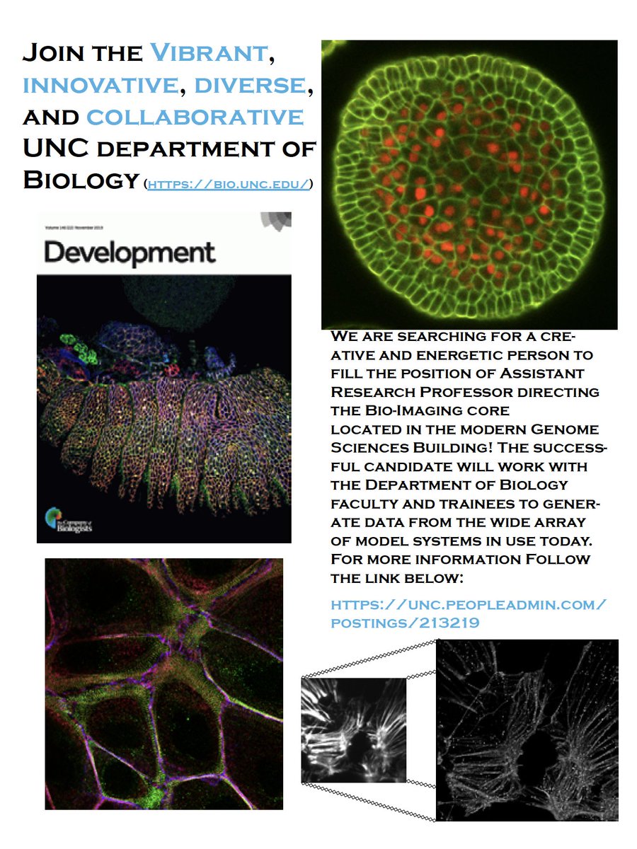 Mark Peifer (@peiferlabunc) on Twitter photo I'm excited to announce that <a href="/UNC_Biology/">UNC_Biology</a> is searching for a creative and energetic person to direct
the Bio-Imaging core located in the Genome
Sciences Building! This will be at the rank of Assistant
Research Professor 1/8 please RT I'm excited to announce that <a href="/UNC_Biology/">UNC_Biology</a> is searching for a creative and energetic person to direct
the Bio-Imaging core located in the Genome
Sciences Building! This will be at the rank of Assistant
Research Professor 1/8 please RT