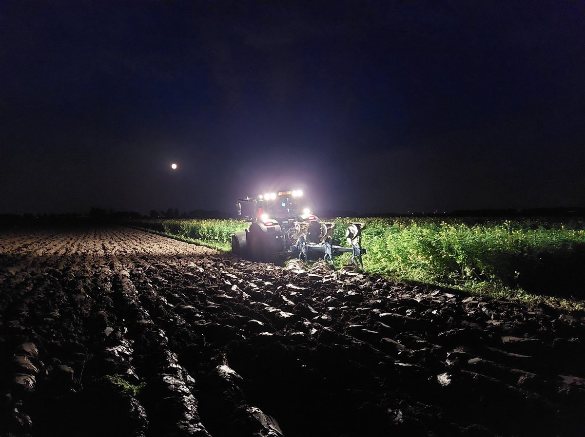 PatrickvdRiet's tweet photo. Ploegen van de gele mosterd en de suikerbieten worden weer opgehaald @CosunBeetCo https://t.co/RHRRF2k7qJ