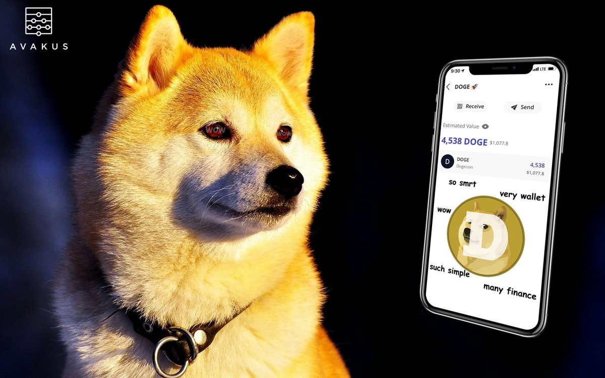 slurmserge's tweet photo. Just a few more weeks until @dogecoin holders can transfer their #dogecoin into the #AvakusWallet

Care to help us test this out during beta testing next week @MattWallace888 @dianakfletcher @mcuban?
Such wow. 
So wallet.
Much finance. https://t.co/wKkNHlEZaX