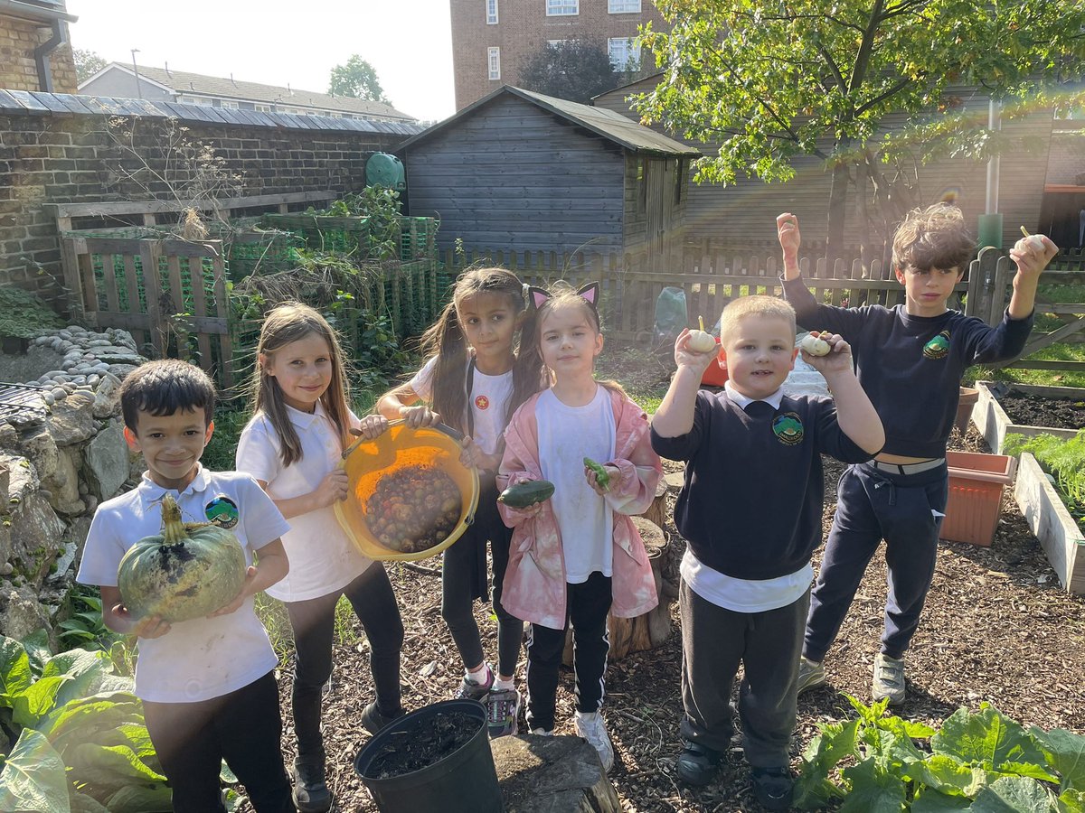 Smallwoodschool's tweet photo. Fresh produce picked from the garden for Chef Emandey to use in the kitchen thanks to the hard working @smallwood_community_garden volunteers over the summer holidays.
@ChefsinSchools #foodrevolution #foodvision #growyourown #schoolgarden #education https://t.co/mb4Q8fDtKp