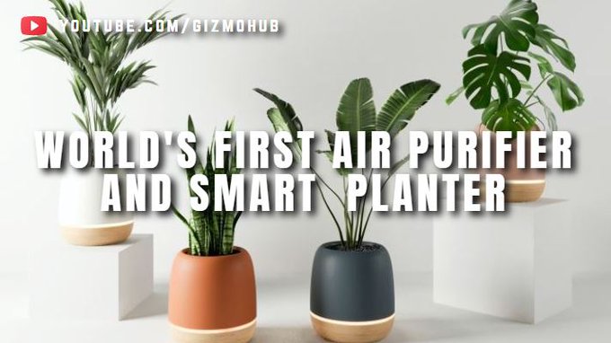 koru air purifier and smart planter
