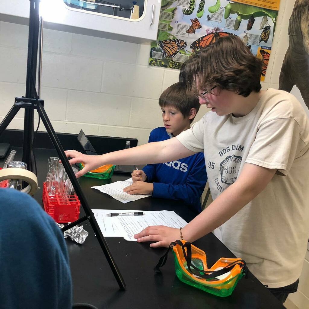 AScottFlynn's tweet image. 7️⃣th 👩‍🔬👨‍🔬 grade #science ⚗️ @working ✍️ with #elodea plant 🌱 counting 🧮 the number of bubbles produced and color change with Bromo Blue via photosynthesis. #7Science #2021 #thebetterMrFlynn #classof2027 Go #BlairBears instagr.am/p/CVOJrkEpAb7/