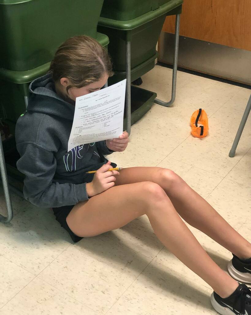 AScottFlynn's tweet image. 7️⃣th 👩‍🔬👨‍🔬 grade #science ⚗️ @working ✍️ with #elodea plant 🌱 counting 🧮 the number of bubbles produced and color change with Bromo Blue via photosynthesis. #7Science #2021 #thebetterMrFlynn #classof2027 Go #BlairBears instagr.am/p/CVOJ0AUJ500/