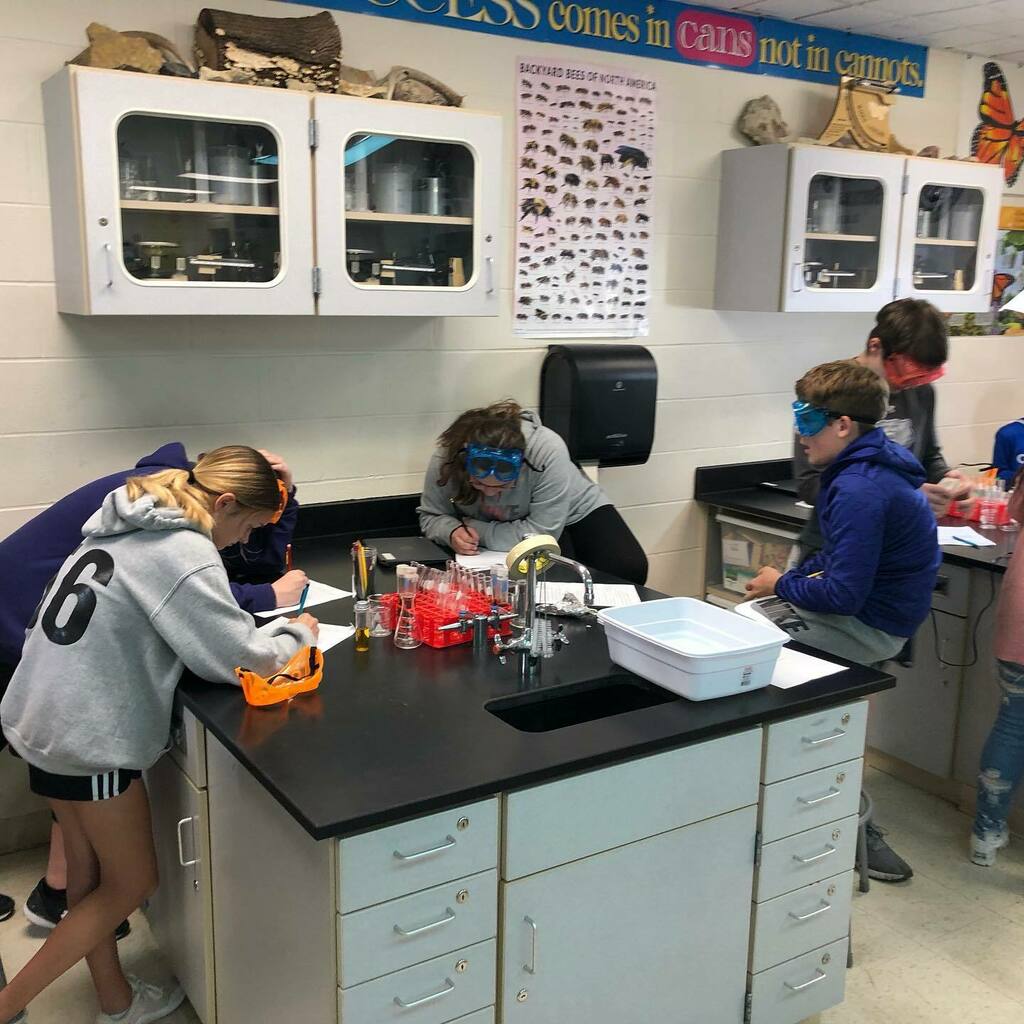 AScottFlynn's tweet image. 7️⃣th 👩‍🔬👨‍🔬 grade #science ⚗️ @working ✍️ with #elodea plant 🌱 counting 🧮 the number of bubbles produced and color change with Bromo Blue via photosynthesis. #7Science #2021 #thebetterMrFlynn #classof2027 Go #BlairBears instagr.am/p/CVOJ5mRJl2H/