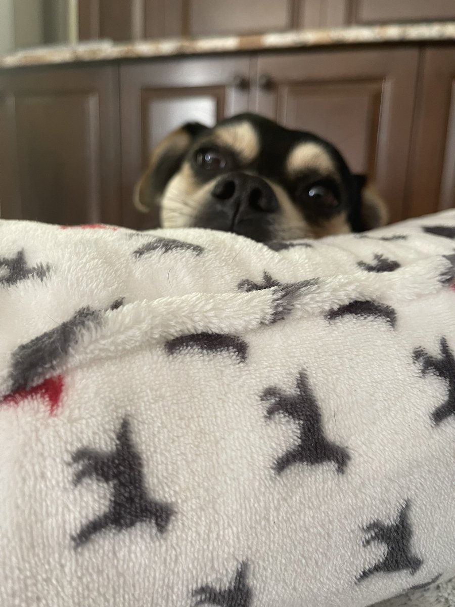 hey!