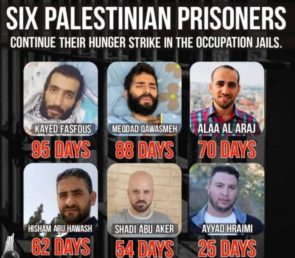 NofalGgmailcom1's tweet photo. The international community and international organizations must concern with human and work for the freedom of the prisoners on hunger strike in the prisons of the Israel occupation.  
#معركة_الامعاء_الخاوية https://t.co/yHBe7nmHLE