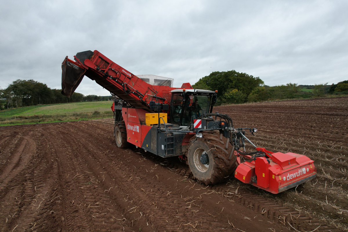 David Park tweet media