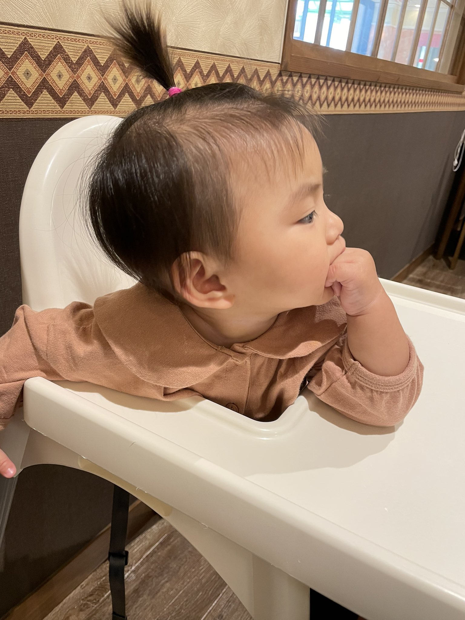 8ヶ月赤ちゃん Twitter પર શ ધ Twitter
