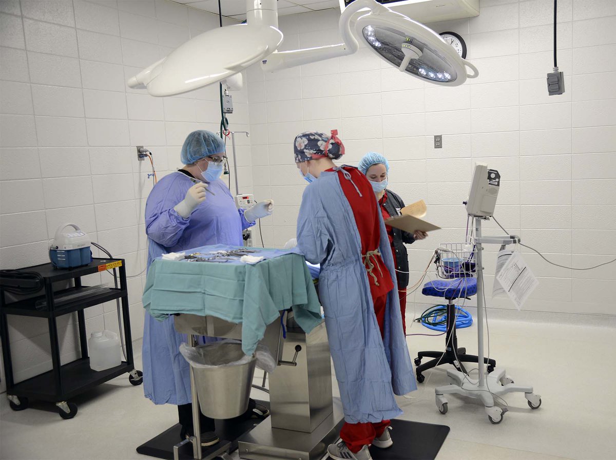 tctc_PR's tweet photo. National Veterinary Technician Week is Oct. 17-23. Veterinary technicians are critical to the daily function of veterinary practices &amp; play vital roles in preserving animal health and welfare. TCTC's program is accredited by the AVMA &amp; endorsed by the SC Assn. of Veterinarians. https://t.co/lHUJ5F5PRF