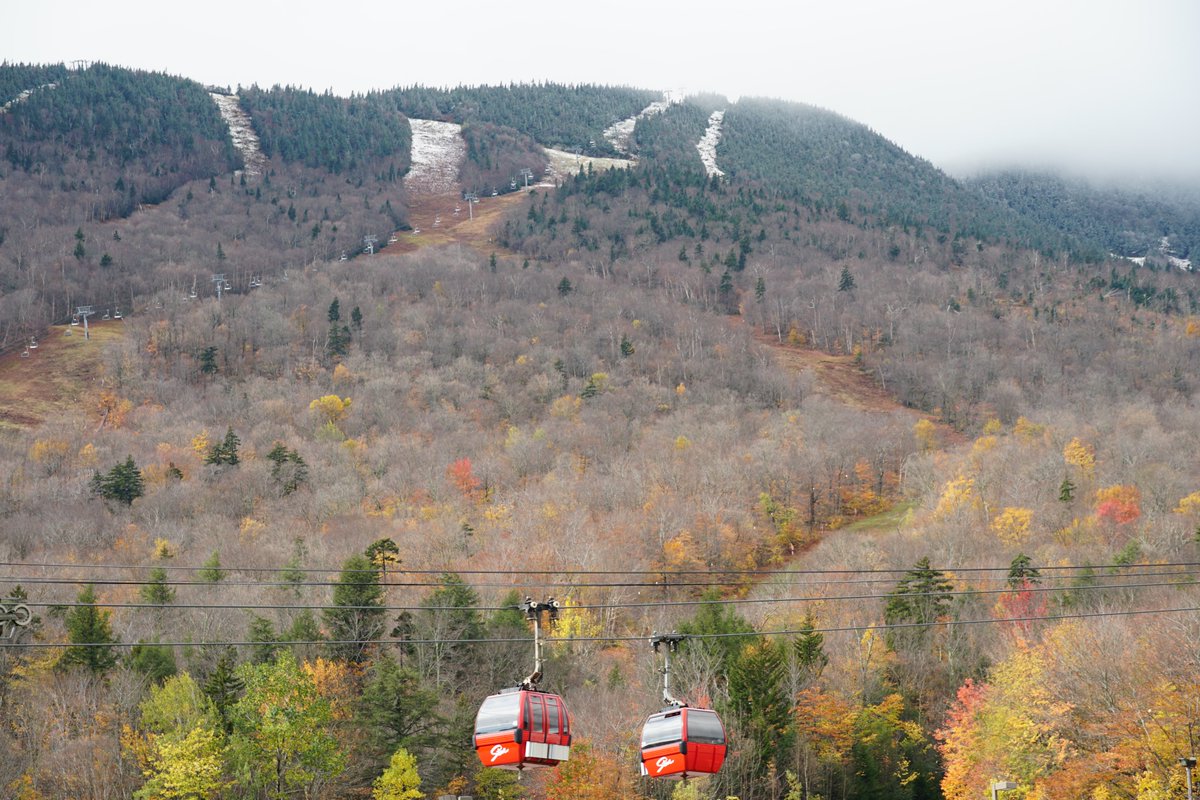 gostowe's tweet photo. A little #snoliage today to get us excited for the upcoming winter season—opening day is just a month away! Who's #Stoweked?🍁❄️#fallintostowe #winterinstowe #gostowe #fallinvt #smugglersnotch #mtmansfield #stowefoliage #stowescenes #thisisvt https://t.co/a8qrxzD5yi