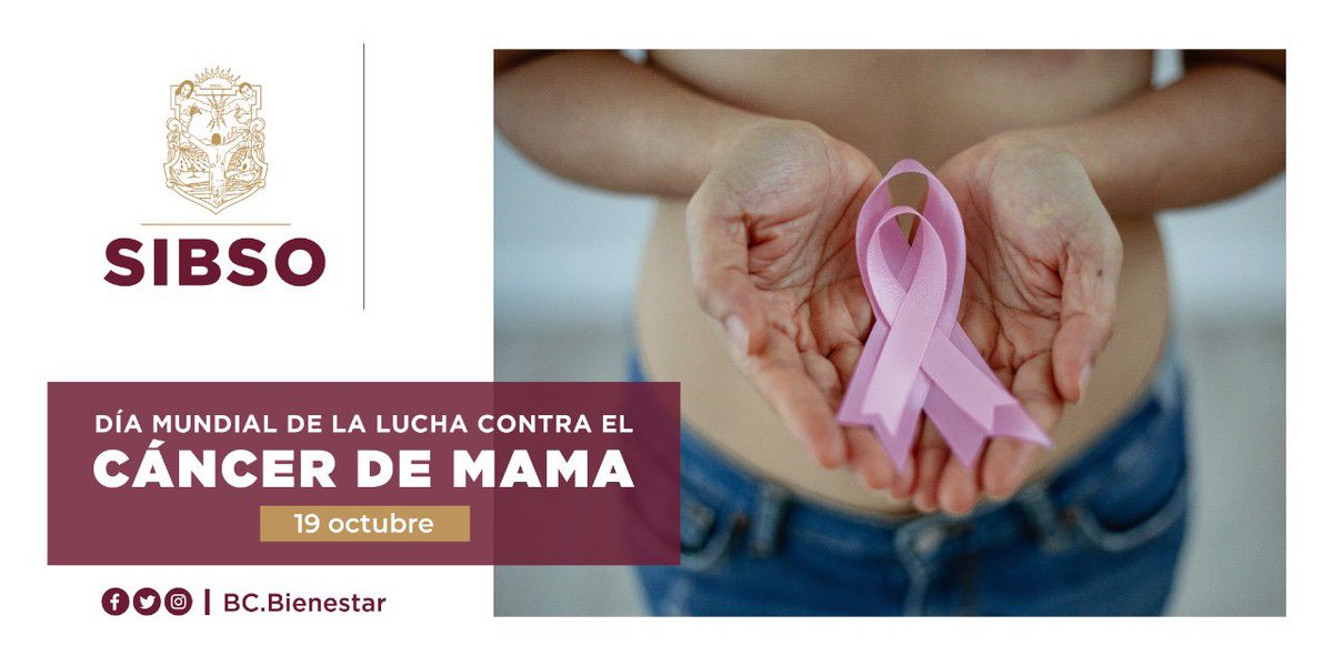 El Día Internacional del Cáncer de Mama es una fecha que busca sensibilizar y concientizar a todas las mujeres para revisarse y detectar a tiempo una de las enfermedades más mortales contra la población femenina. 

#SigueLaTransformación
#OctubreRosa