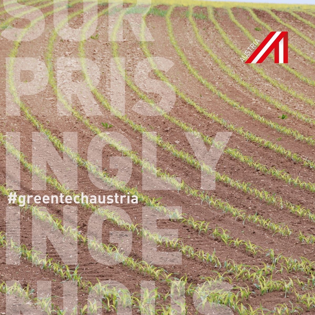 GREENTECH AUSTRIA - CARBON FARMING Technik-Plus - Global Carbon Farming's highly specialized machines can transform tractor emissions into fertilizer and therefore lower the CO2 output. #greentechaustria #advantageaustria #refocusaustria #farming
Website: technik-plus.eu/index.php/en/