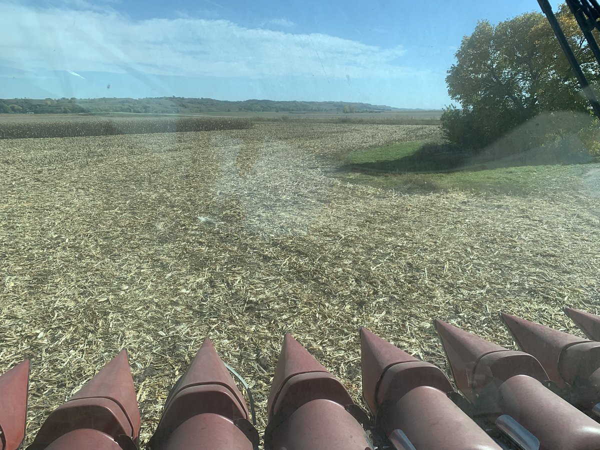 pioneerbanks's tweet photo. Beautiful fall day. Nothing better than getting out of the office and seeing this crew today! Thank you to @rw1456 for the combine ride &amp; having lunch with us! https://t.co/pS76Ae6WvL