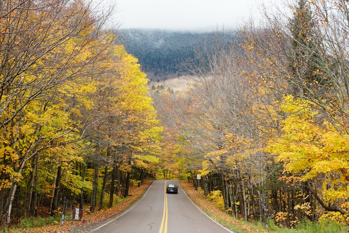 gostowe's tweet photo. A little #snoliage today to get us excited for the upcoming winter season—opening day is just a month away! Who's #Stoweked?🍁❄️#fallintostowe #winterinstowe #gostowe #fallinvt #smugglersnotch #mtmansfield #stowefoliage #stowescenes #thisisvt https://t.co/a8qrxzD5yi