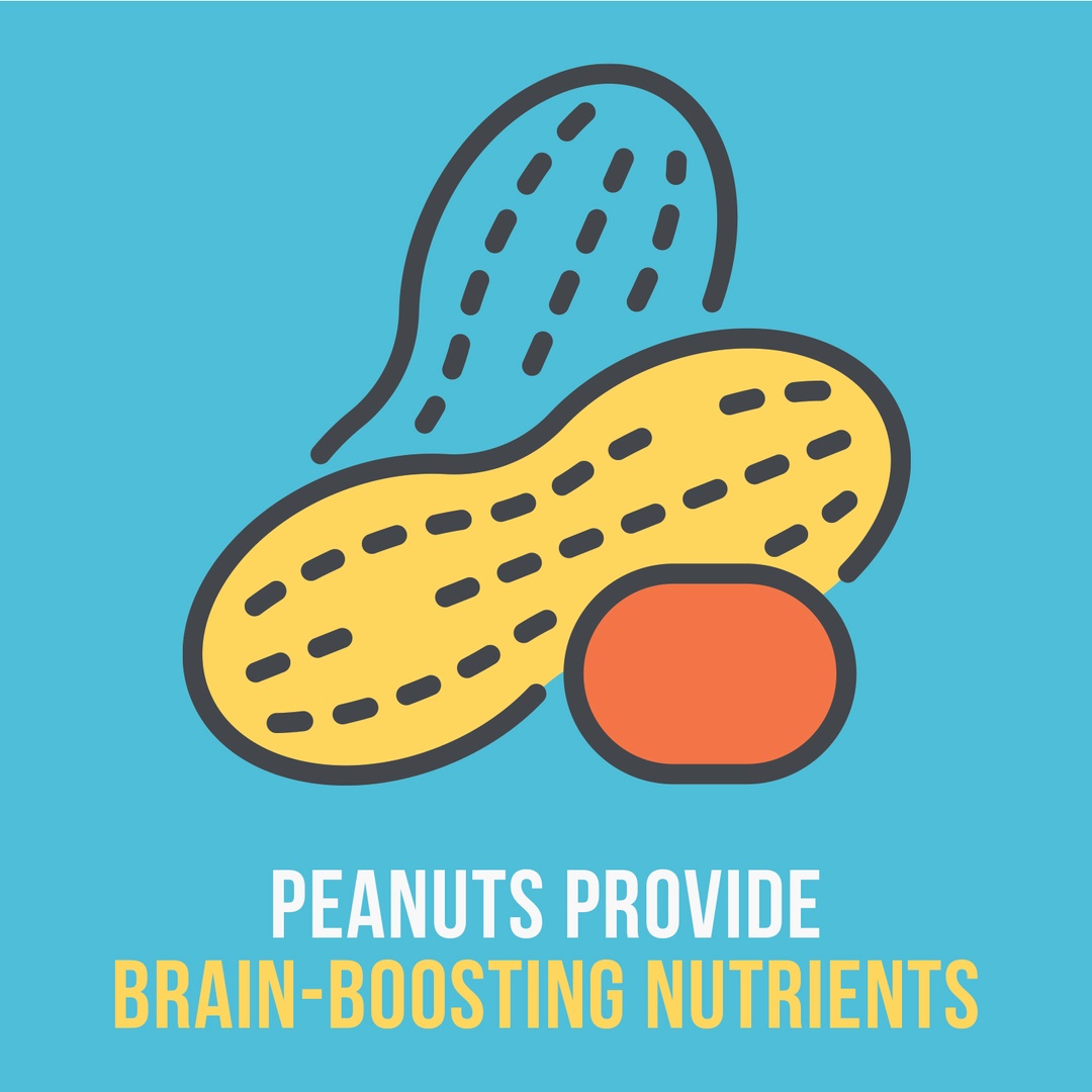 ThePeanutInst's tweet photo. Peanuts pack so many nutrients in such a small shell including: Niacin, Vitamin E, Resveratrol and P-Coumaric Acid.  All have been associated with better brain function! 
#PeanutSuperfood https://t.co/WN3BctCxAb