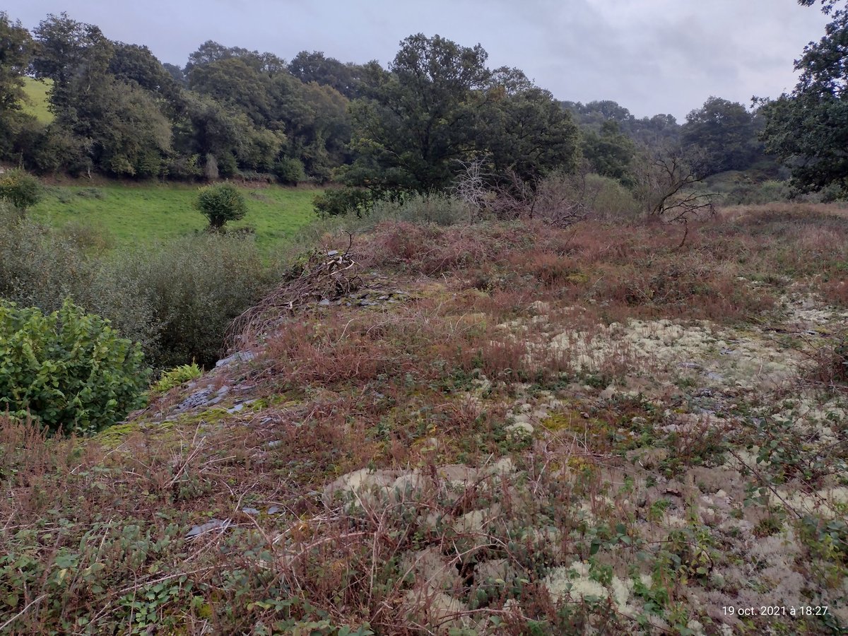 ThiChaplain's tweet photo. Les mines à #Motreff (ou à #MaëlCarhaix ou à #LocmariaBerrien) sont une part de l'#Histoire du #CentreBretagne. https://t.co/sBH9Qnuw6Q