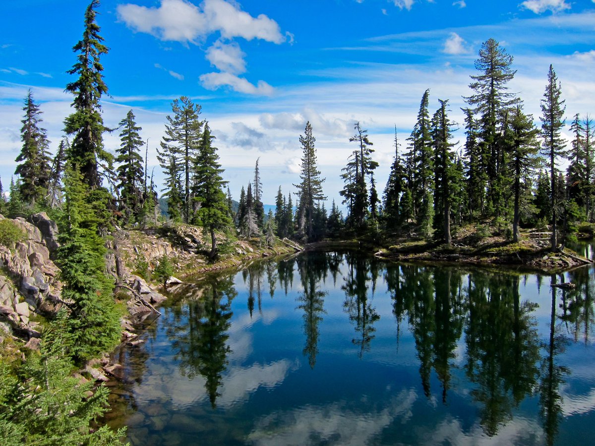 “Life is not measured by the number of breaths you take but by the moments that take your breath away.”

—Maya Angelou

#TuesdayMotivation