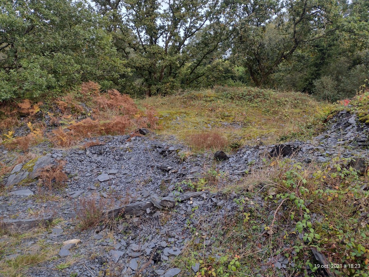 ThiChaplain's tweet photo. Les mines à #Motreff (ou à #MaëlCarhaix ou à #LocmariaBerrien) sont une part de l'#Histoire du #CentreBretagne. https://t.co/sBH9Qnuw6Q