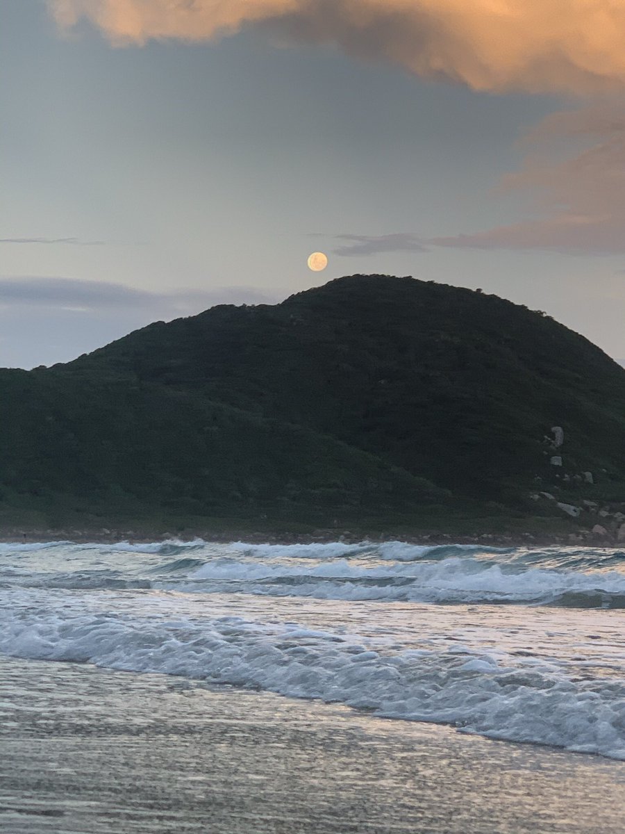 To the moon !🌕
#photo #moon #crypto #beach  #brazil #praiadorosa #BTC