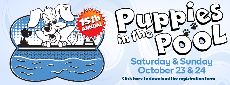 COTparks's tweet photo. Calling all doggos! It's your turn to enjoy a day at the pool! The 15th annual Puppies in the Pool event is back at the Trousdell Aquatics Center (activity pool only), and spaces are available both Saturday and Sunday, Oct. 23 and 24. Get full details at https://t.co/QJ7idjXzYH https://t.co/QfQ6mWyTta