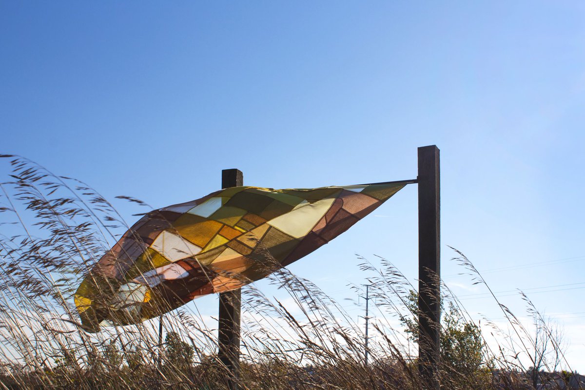 cityofguelph's tweet photo. Anita Cazzola, the City’s 2021 #ArtistinResidence, will wrap up her #BotanicalReclamation project with a final exhibition and celebratory events at @YorklandsGreen (former OR lands) Oct. 23-24. 

#guelphculture
#textileart

For more info or to RSVP visit: https://t.co/r9nmAoEUpw https://t.co/tyc8rfZGdX