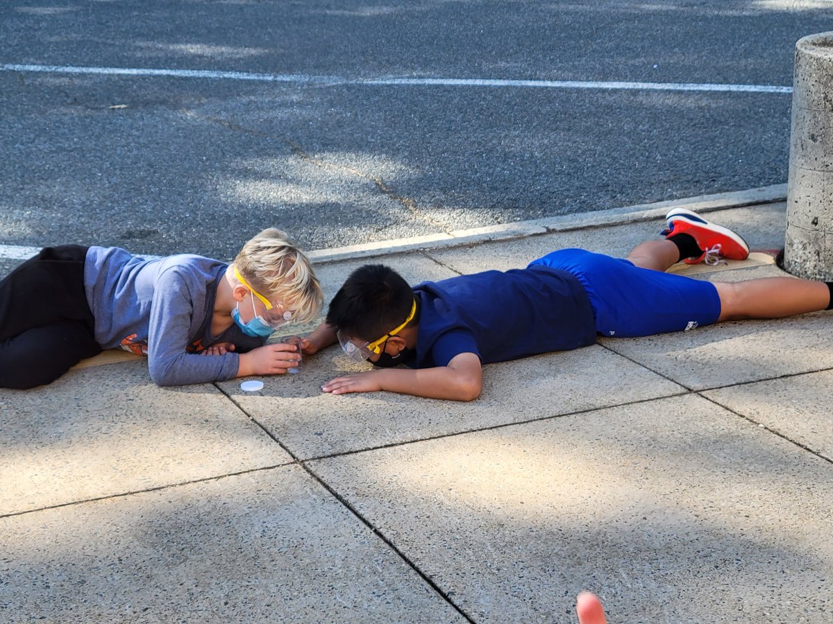 Cindy Bruzzese tweet media