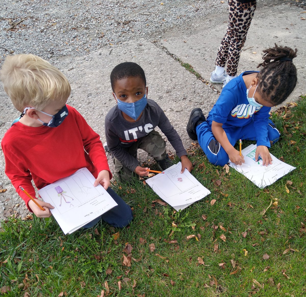 awatson0723's tweet photo. We went on a nature walk today. Observing and recording all the beautiful plants.@western161 @Flossmoor161 https://t.co/Hf7aWvRnq3