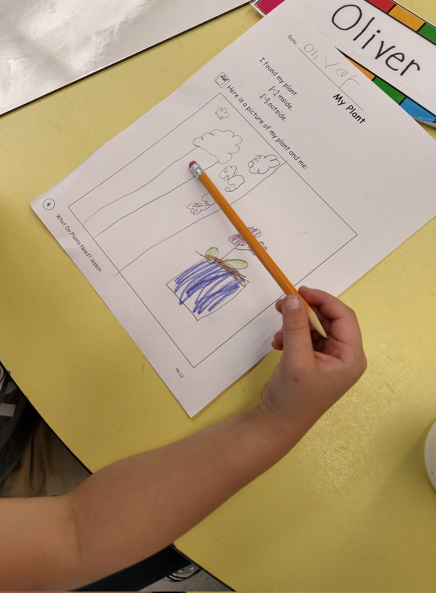 awatson0723's tweet photo. We went on a nature walk today. Observing and recording all the beautiful plants.@western161 @Flossmoor161 https://t.co/Hf7aWvRnq3