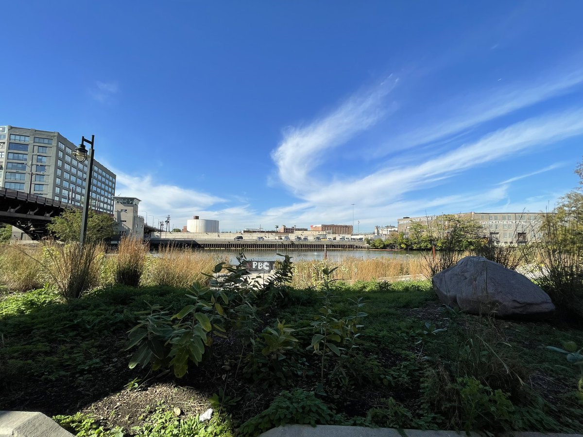 ACEllison's tweet image. I guess she loves the vibes 🎡