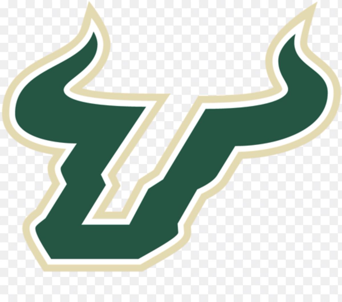 gill_joker's tweet photo. Blessed to recieve an offer from The University of South Florida 🌴‼️ #HornsUp @DaQuanBowers91 https://t.co/8nxkdd6ZFK
