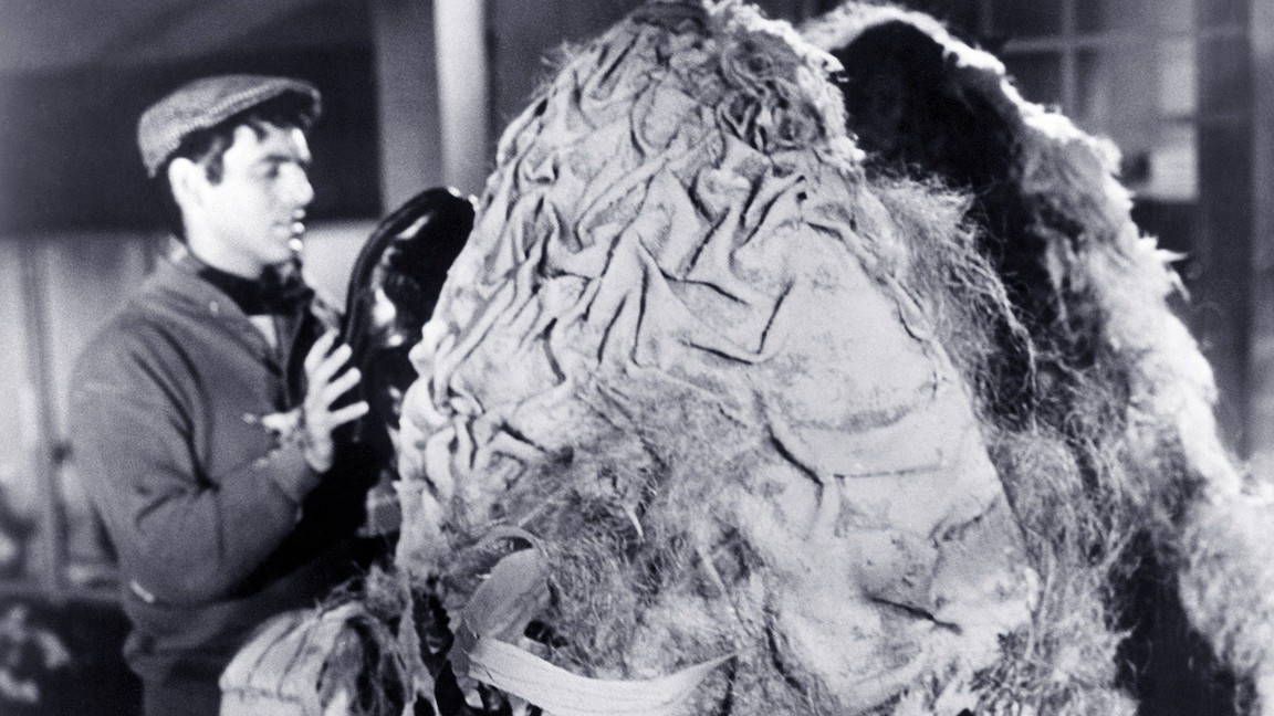 SemetraRhodes's tweet photo. Killer Plants #NowWatching THE LITTLE SHOP OF HORRORS (1960) #AudreyJr #KillerPlants #31DaysOfHorror 🎃🌱🎃 https://t.co/cAqrdXPAvM