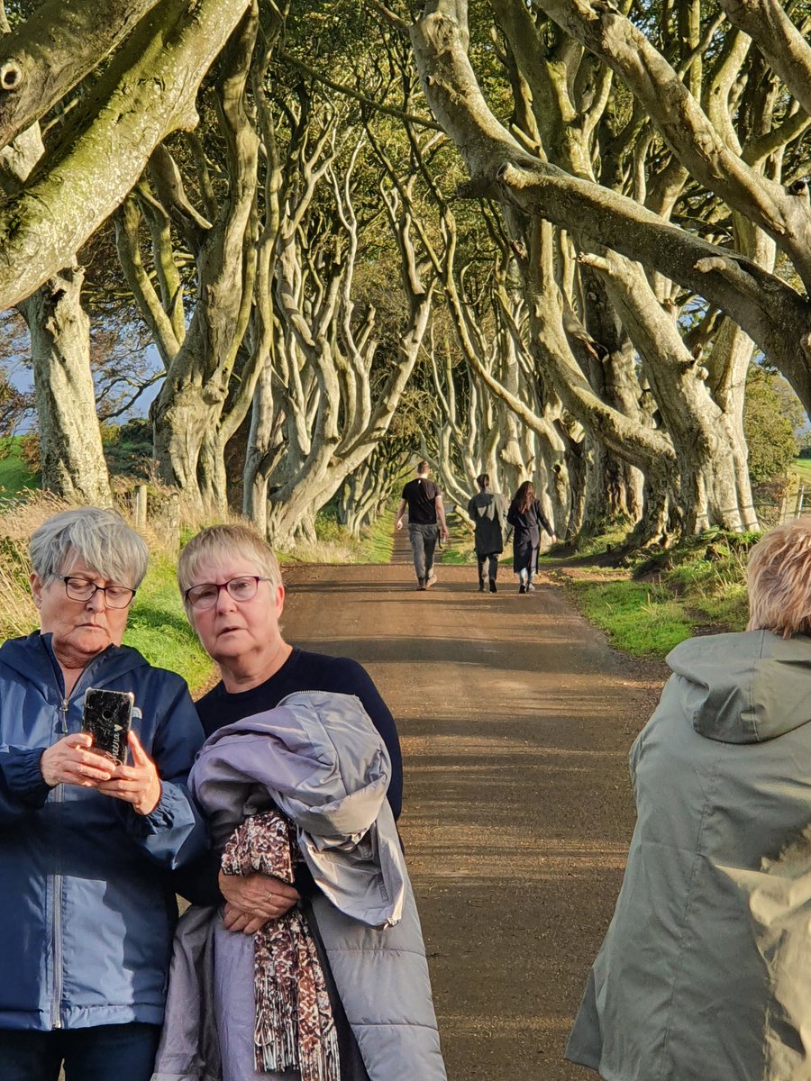 Stop of at The Dark Hedges with the women's group today, the weather changed to sunshine which made the afternoon a delight ☀️