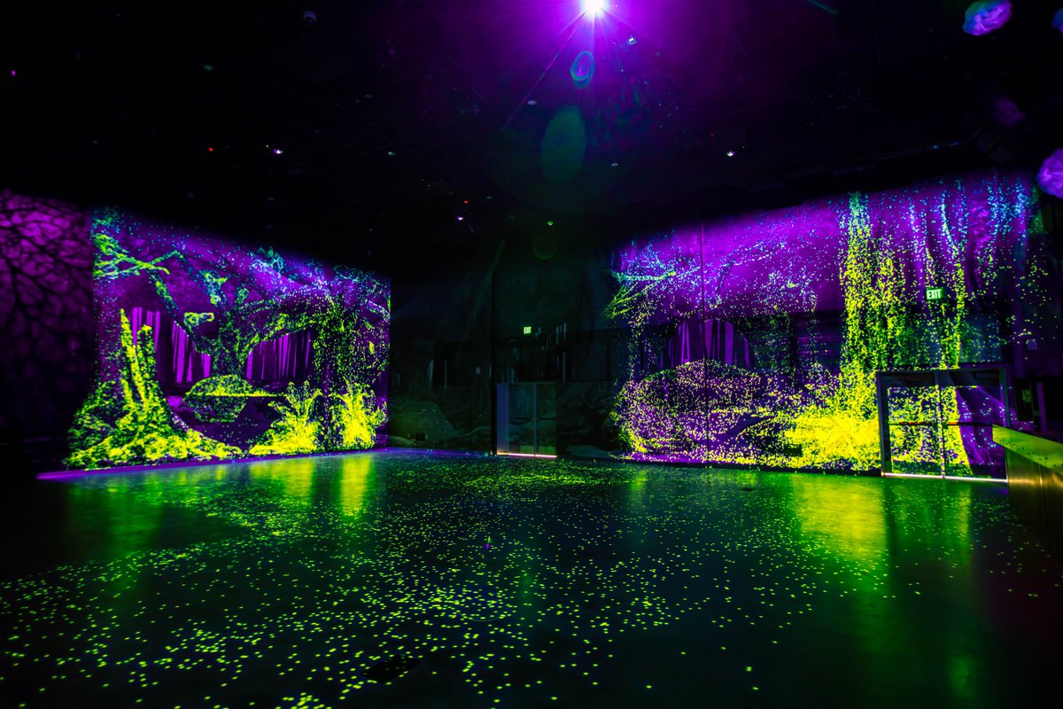 ConvergenceStn's tweet photo. Take a refreshing rinse at our complimentary memory cleansing spa! 🌀 Perplexiplex is both QDOT’s event venue and a beneficial mnemonic experience for travelers to the converged worlds. https://t.co/yqRAGbIHxC