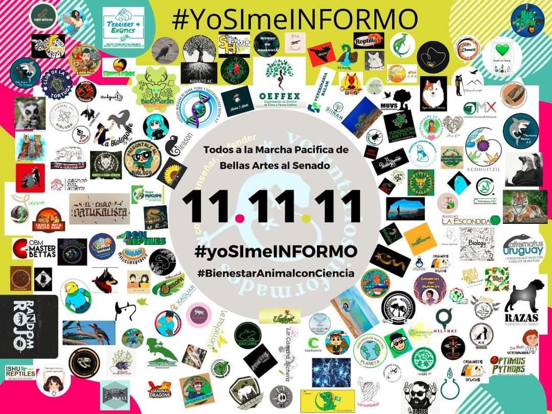 JuanJorgeAviles's tweet photo. @FernandoRubioQ_ @urincho_alberto @polimniaromana @Fer_MercadoG @Congreso_CdMex @SEDEMA_CDMX @ZoologicosCDMX Con mucho gusto, podemos asesorar al Diputado, sobre la importancia de los Zoológicos de la Ciudad de México, desde los Grupos Colegiados, la Academia, las Universidades, las ONGs y los especialistas. Si gusta lo pasamos a visitar el 11 de Noviembre 2021 @urincho_alberto Saludos https://t.co/210SpIff3R