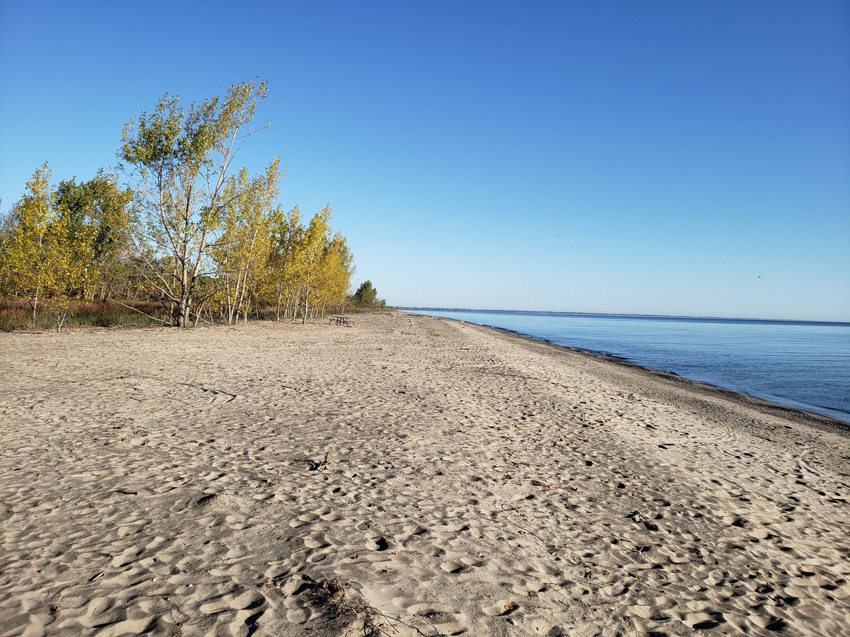 Jason_Homewood's tweet photo. Was back in Rondeau today, surveyed some shoreline transects that will be paired with bathymetry data.  Flies were horrendous.
#ltvca #ckont https://t.co/ERAP5W5n2R