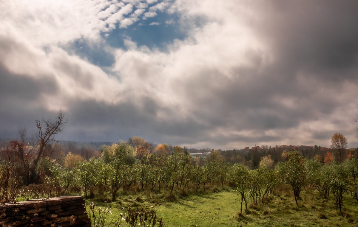 fotogosaurus's tweet photo. Fall Sun https://t.co/McwvxGm1W7 #VT #Vermont #NewEngland #Lilac #LilacField #FlowerFarm #Lanscape #landscapePhoto #landscapePhotography #Sky #Clouds #skyScape #Hole #LetTheSunshineIn #Sunshine #moment #pause #Canon #Sigma #pause #LookUp #PatchOfBlue #Sun #Fall #October https://t.co/zyOy8jWNsl