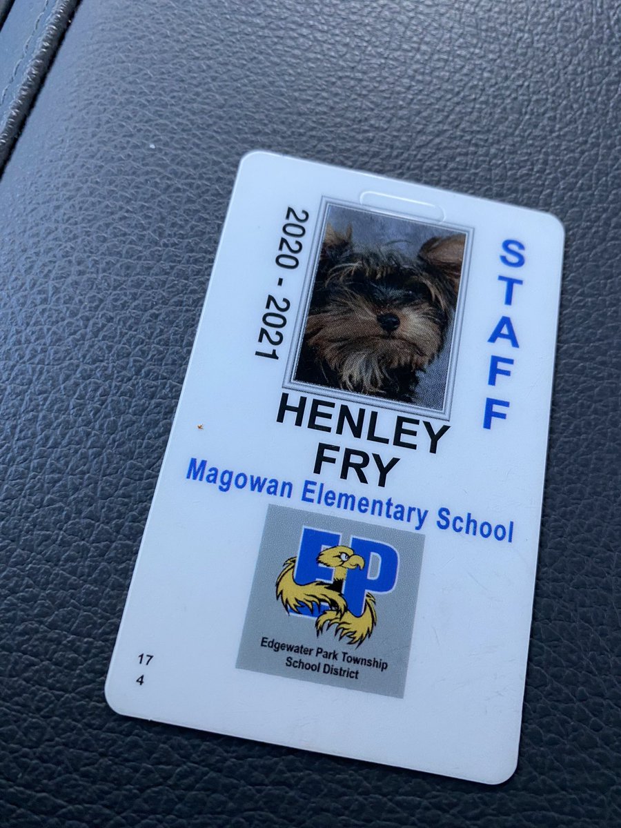 _AmandaFry's tweet photo. Happy first birthday to the coolest dog on staff. @MES_EPTSD #dogsrock #workingpups Thanks Aunt michelle for the treats for the hoo-mans https://t.co/W9IKqq7VYB