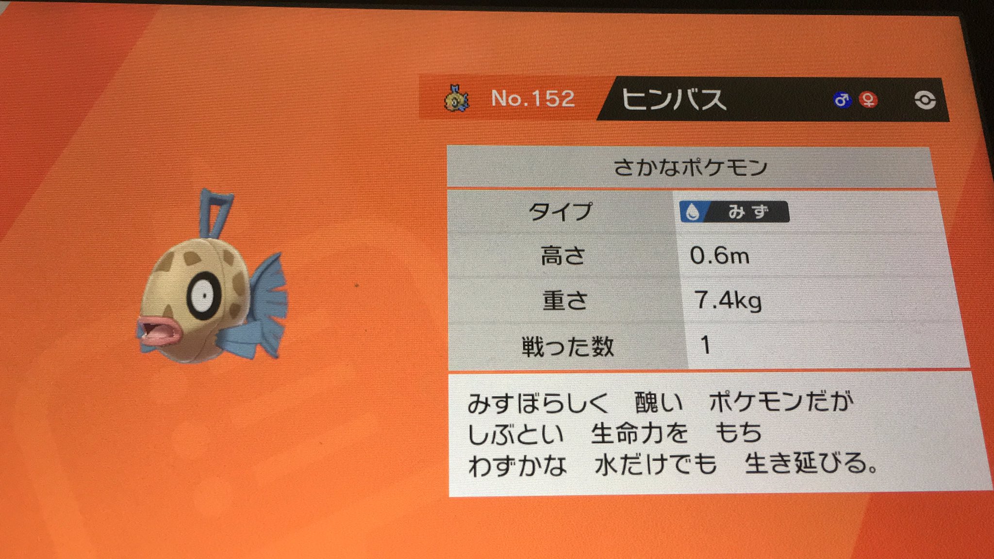 ぇちゅ ラ ヒンバスずっと釣りででなくて 諦めて海鳴りの洞窟うろうろしてたらやっと出会えた ミロカロスになったら シールドで出てくるポケモンの図鑑はほぼ完成かな ソードのポケモンは諦めるかな 剣盾 T Co Lsf5rv4st6 Twitter