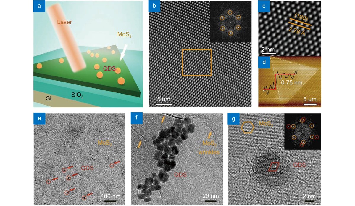 OptoElectronAdv's tweet photo. #OEA_highlight #Light-#triggered interfacial charge transfer and enhanced #photodetection in CdSe/ZnS #quantum dots/MoS2 mixed-dimensional phototransistors:https://t.co/LLnPdhADXX
@hunanuniv by Prof. #LiZiWei and #PanAnLian
#Heterostructure
#Phototransistor
#MoS2 
#QuantumDots https://t.co/l4SbMw1eSC