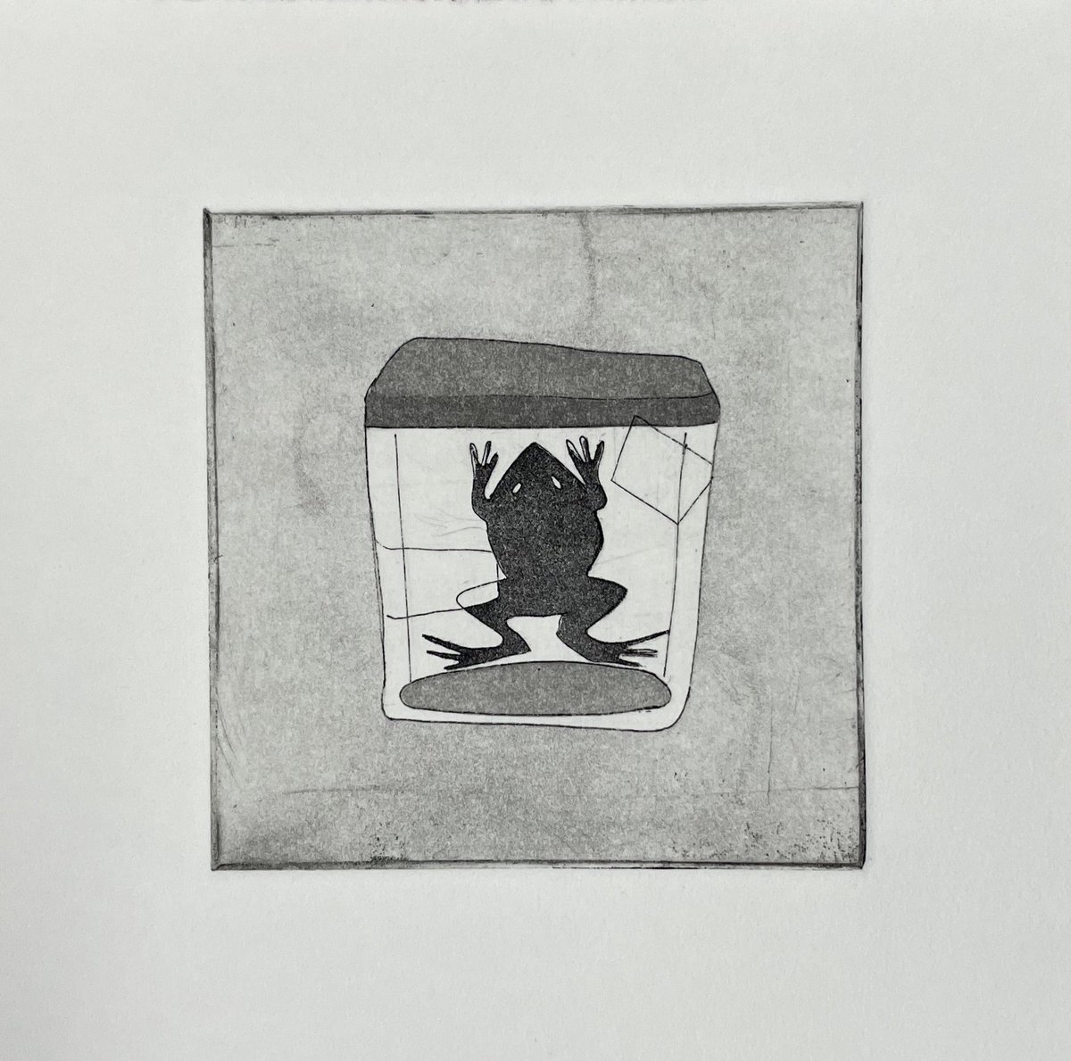m0thfl0ss's tweet photo. here's a little tiny etching i did of a little tiny frog https://t.co/iy7Km2YLyg