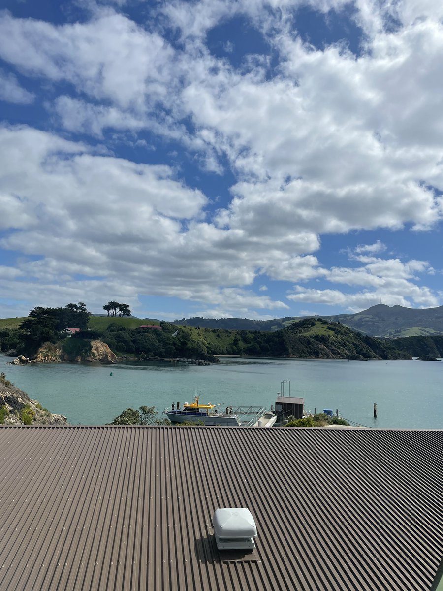 When your stuck in the lab “stirring” reagents yet can’t stop “starring” at the ocean outside!